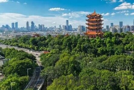 麻豆短视频传媒app-当然可以！下面是围绕麻豆短视频传媒app所创作的一篇具有趣味性和一定深度的文章